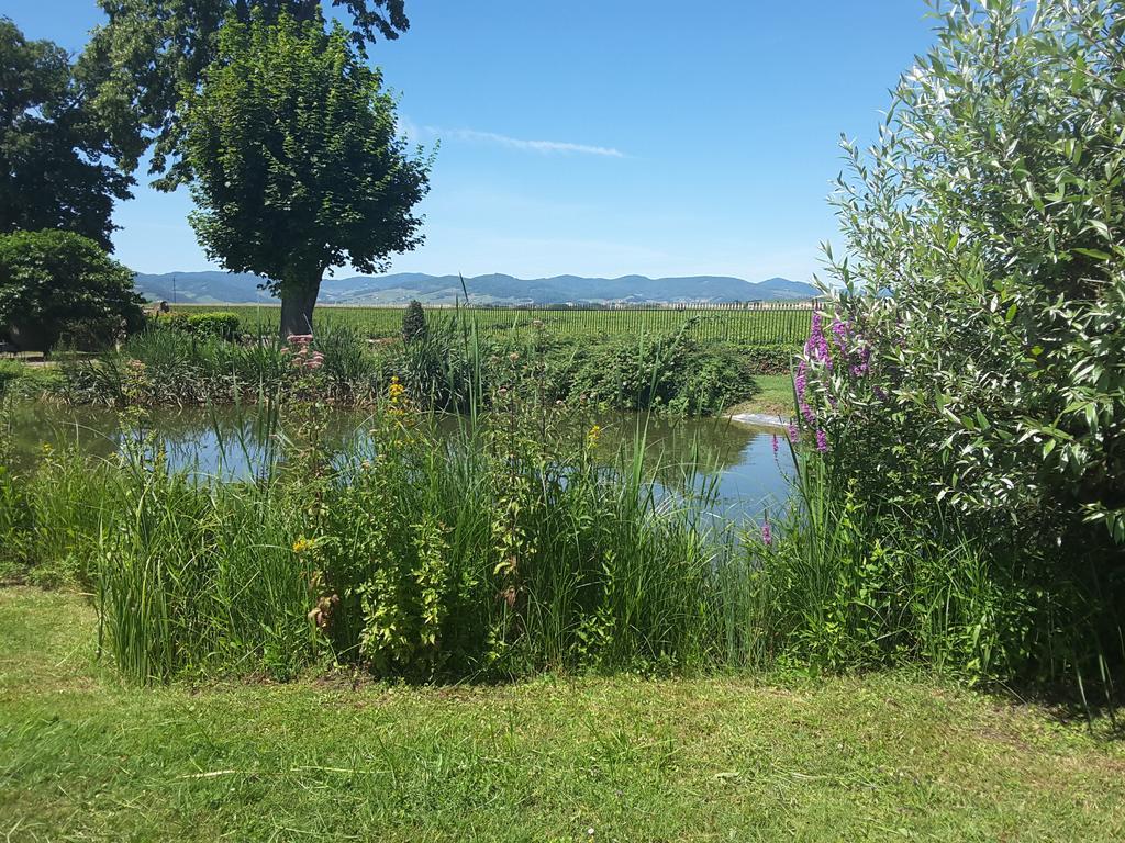 Chateau De Pizay 4*